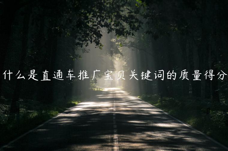 什么是直通車推廣寶貝關(guān)鍵詞的質(zhì)量得分